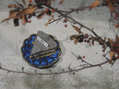 打翻奶酒芝麻生乳塔2