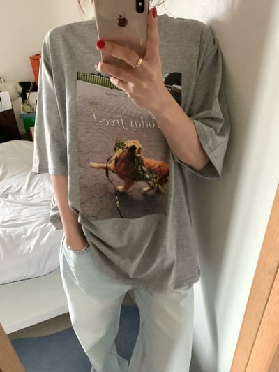 早鳥價開團中！《貓貓狗狗》today free狗狗T3