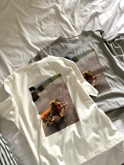 早鳥價開團中！《貓貓狗狗》today free狗狗T8