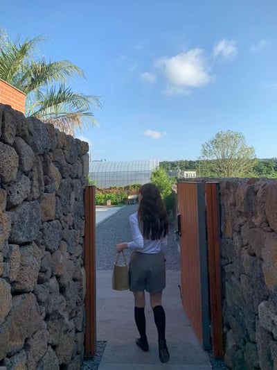 奶白最後一件！《可甜可鹽》liverpool天絲羊毛半高領打底衣23