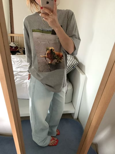 早鳥價開團中！《貓貓狗狗》today free狗狗T5