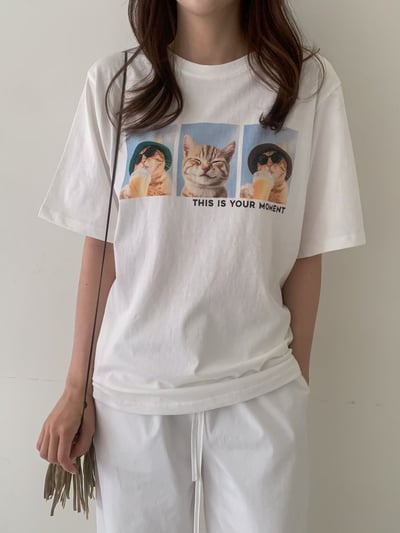 W6成團！《狗狗貓貓》度假中漁夫帽貓貓踢6