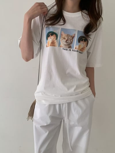 W6成團！《狗狗貓貓》度假中漁夫帽貓貓踢4