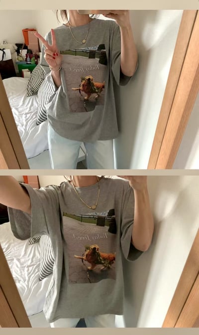 早鳥價開團中！《貓貓狗狗》today free狗狗T4