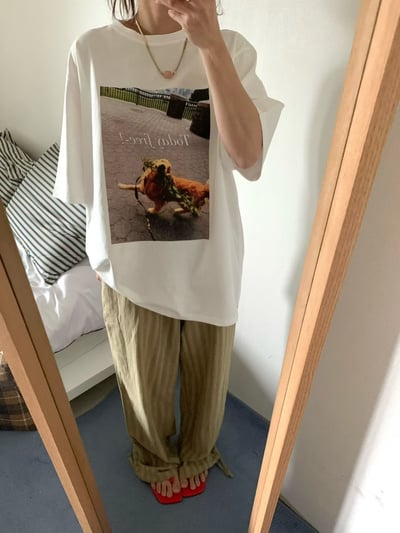 早鳥價開團中！《貓貓狗狗》today free狗狗T2