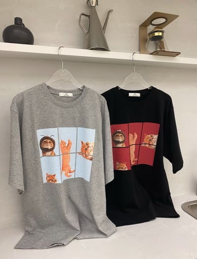 早鳥價開團中！《狗狗貓貓》hide and seek貓貓踢4