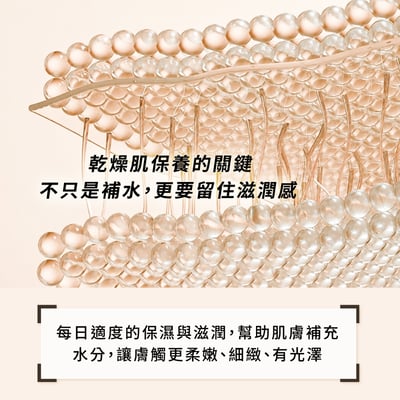 【iMeuu愛美悠】D.Brauners高效植萃PDRN賦活潤澤修護乳霜50ml4