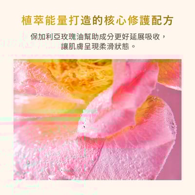 【iMeuu愛美悠】ISOI 密集緊實修護精華(眼霜/全臉)25ml  急救熨斗 乾燥細紋 玫瑰精油 玫瑰精華 全臉可用5