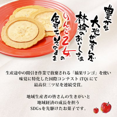 長野信州名產 必買伴手禮 蘋果乙餅乾4