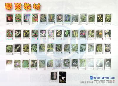 撲克牌+紙盒F款-雙面私印+客製紙盒(含撕膜)4