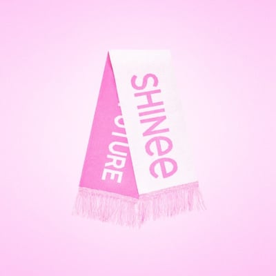 SMTOWN 30周年 LIVE 2025 官方周邊 圍巾 (SHINee)1