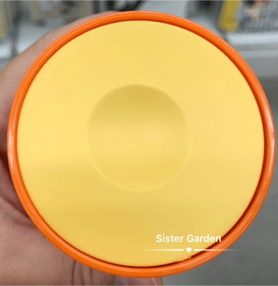 韓國大創 X 迪士尼聯名 小熊維尼家族 棉花棒收納罐4