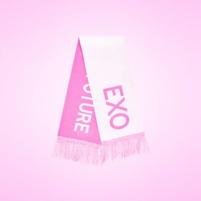 SMTOWN 30周年 LIVE 2025 官方周邊 圍巾 (EXO)1