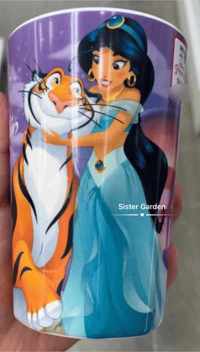 韓國大創 X 迪士尼聯名 公主系列 水瓶/環保瓶2