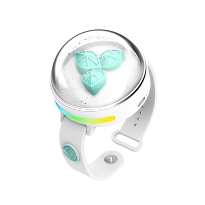 데이식스 DAY6 官方應援手燈 VER31