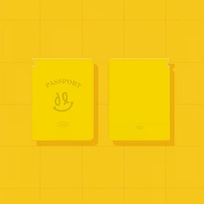 BIGBANG DAESUNG 대성 大聲 2024 FAN DAY TOUR D's ROAD 官方周邊 護照套1