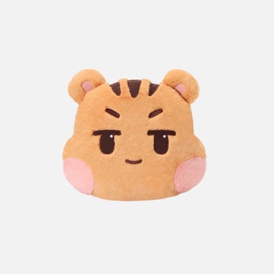 SHINee 15周年周邊 PART2 靠墊1