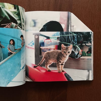 明星｜川島小鳥6