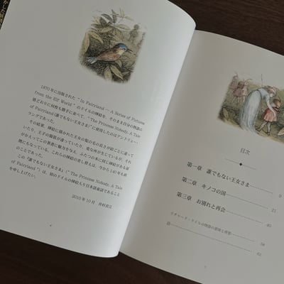 誰でもない王女さま｜A Tale of Fairyland 誰也不是的公主7