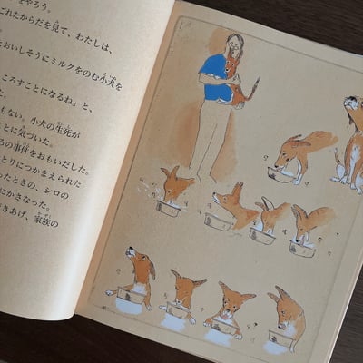 犬のルーカス｜狗狗盧卡斯3
