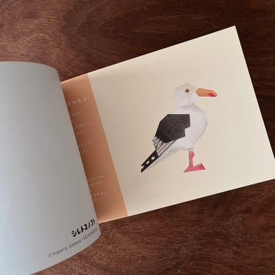 シレトコノコト｜知床的事（明信片書）5