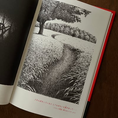 本当の赤ずきん――こどもは読んではいけません｜真正的小紅帽（孩子請勿閱讀）2