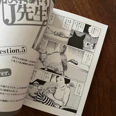 伊藤潤二の猫日記 よん&むー4