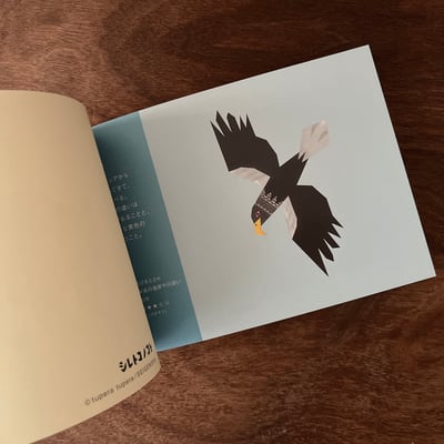 シレトコノコト｜知床的事（明信片書）3