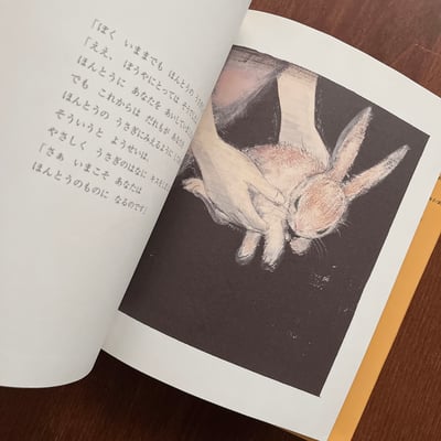 ビロードのうさぎ｜絨毛兔子3