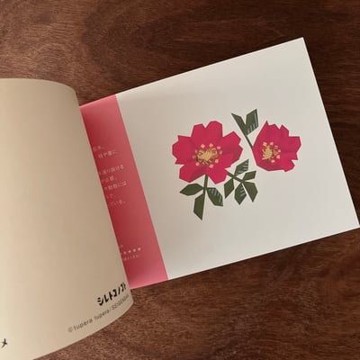 シレトコノコト｜知床的事（明信片書）4