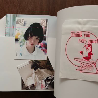 明星｜川島小鳥10