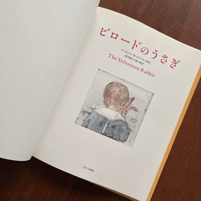 ビロードのうさぎ｜絨毛兔子2