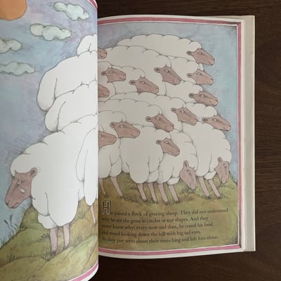 THE SHEEP OF THE LAL BAGH｜拉爾巴格花園的小羊7