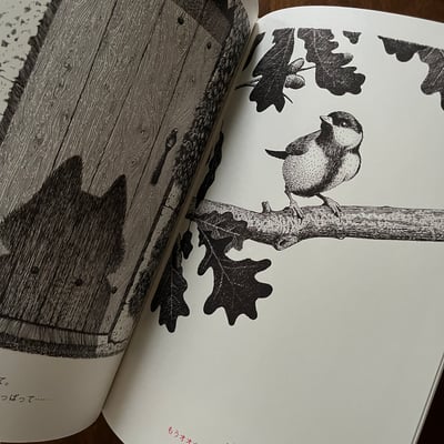 本当の赤ずきん――こどもは読んではいけません｜真正的小紅帽（孩子請勿閱讀）4