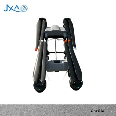 Gorilla2