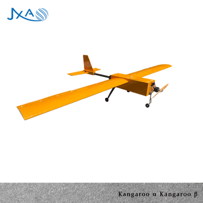 Kangaroo1