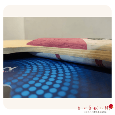 【 Nexy】朱世赫 削球拍 #蝴蝶朱世赫特注結構#4