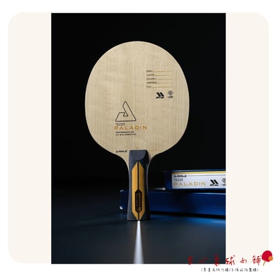 【 Joola 】Tezzo Paladin 聖騎士 (5+2七層內置3K純碳)1