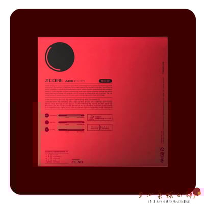 【 TMOUNT 金澤洙 】ACE2 #台灣代理#2