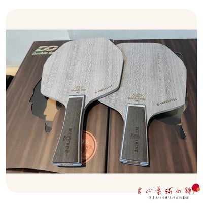 【Double Day】蜂巢ALC多邊形 特注#Viscaria蝴蝶王結構#1