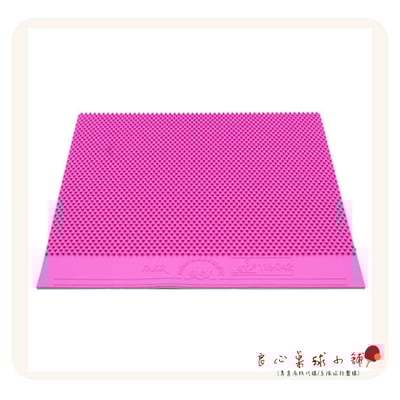 【 Der Materialspezialist 】德國材料專家 膠皮 長顆粒 - Fakir5