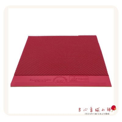 【 Der Materialspezialist 】德國材料專家 膠皮 長顆粒  - Elimination Extra Long2