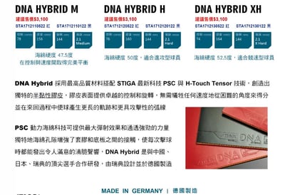 【STIGA】DNA HYBRID M H XH 混動DNA 微黏性蛋糕海綿膠皮2