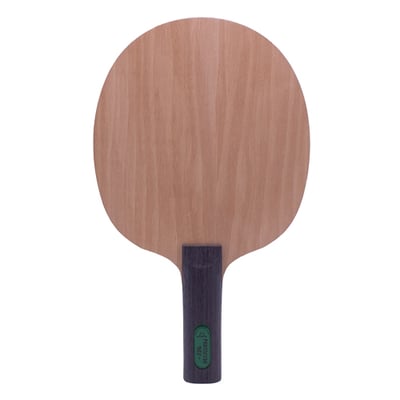 【 Der Materialspezialist 】德國材料專家 球拍  防守型 -  Protector1