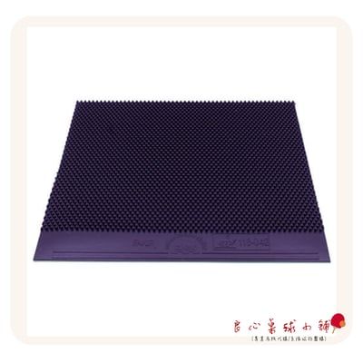 【 Der Materialspezialist 】德國材料專家 膠皮 長顆粒 - Fakir3