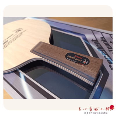 【 Nittaku 】Ludeack Power 大鳥拍 ＃2017新版本小鳥加強＃5