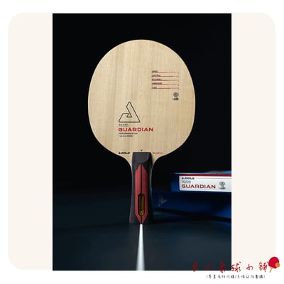 【 Joola 】TEZZO GUARDIAN 守護者 純木七夾1