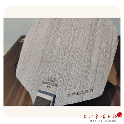 【Double Day】蜂巢ALC多邊形 特注#Viscaria蝴蝶王結構#2