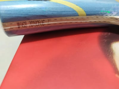 【紅雙喜】官方認證 W968數字版(國家隊版本) 狂飆龍54