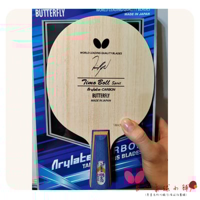 【BUTTERFLY蝴蝶】TIMO BOLL SPIRIT 波爾精神號 CS中直1
